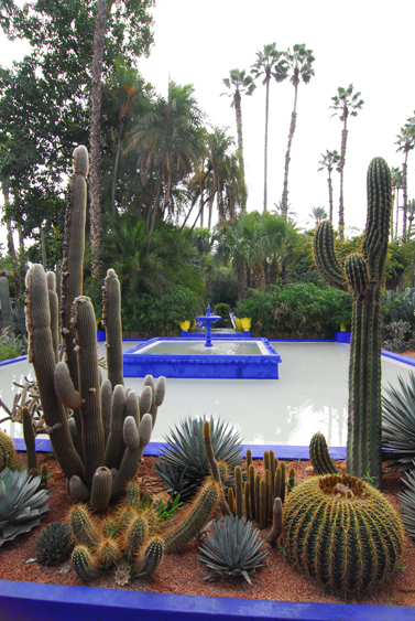 [Majorelle Gardens pond]