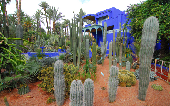 [Majorelle Gardens]