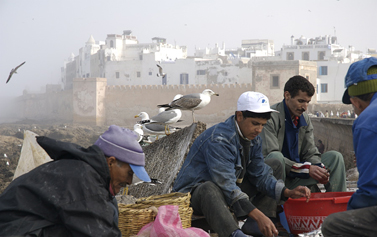 [Essaouira fishermen]
