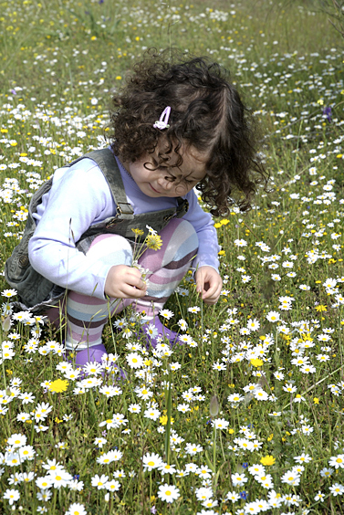 [Hannah picking daisies]
