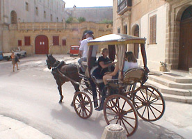 [horse and carriage]