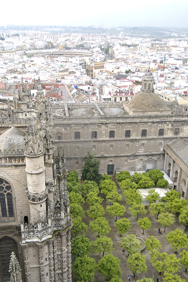 [climbing Giralda tower]
